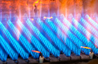 Sourhope gas fired boilers